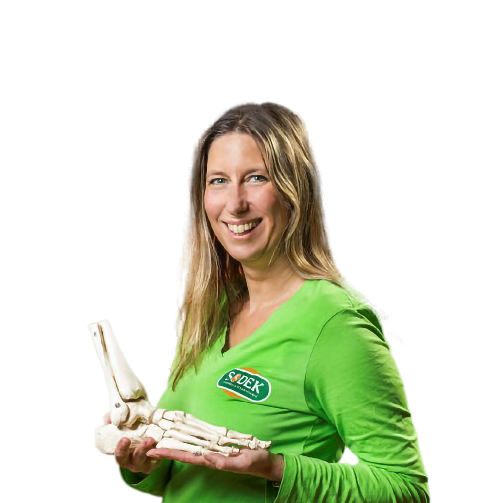 Ilse Sodek, Geschäftsführerin